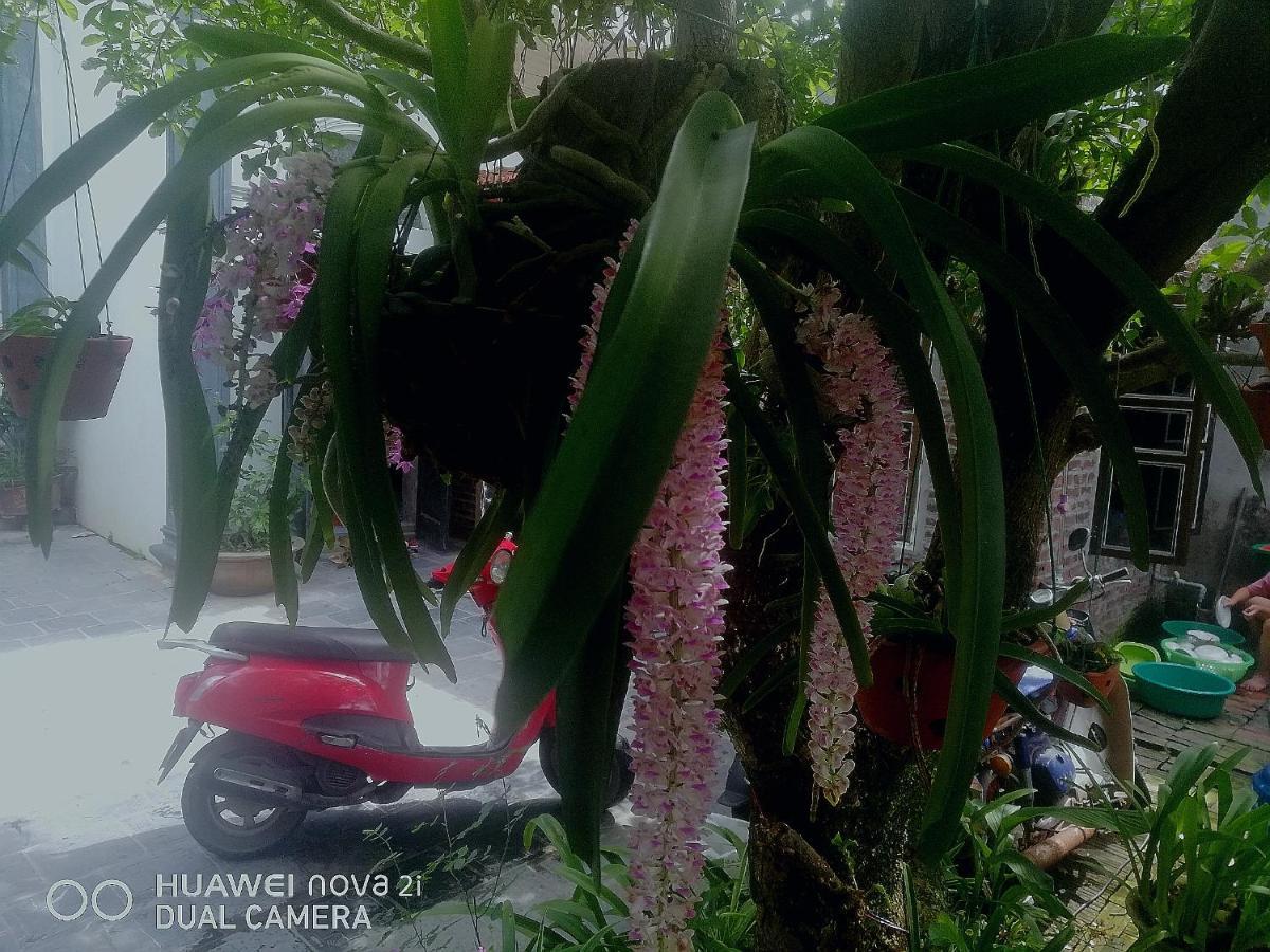 Tamcoc Mr. Cau Homestay نينه بينه المظهر الخارجي الصورة