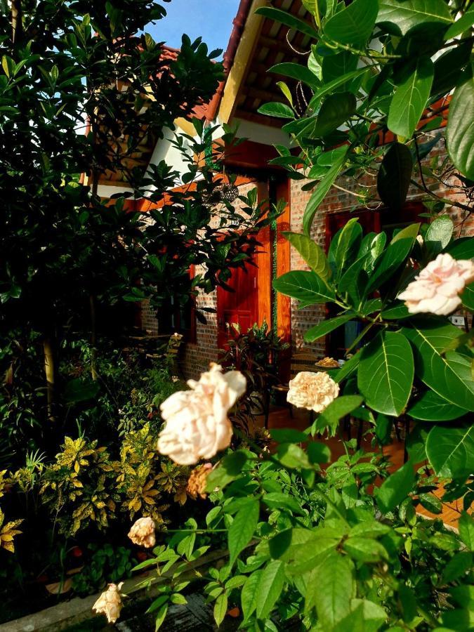 Tamcoc Mr. Cau Homestay نينه بينه المظهر الخارجي الصورة
